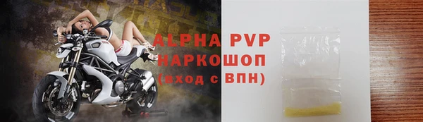 молекула духа Новозыбков