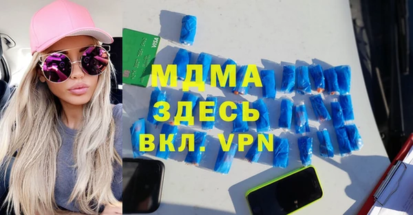 молекула духа Новозыбков