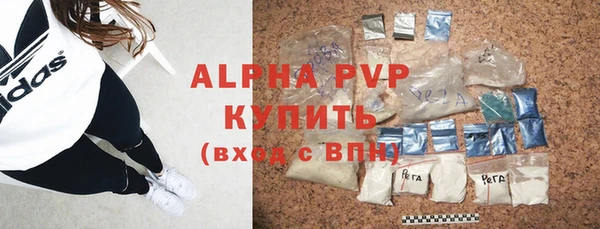 молекула духа Новозыбков