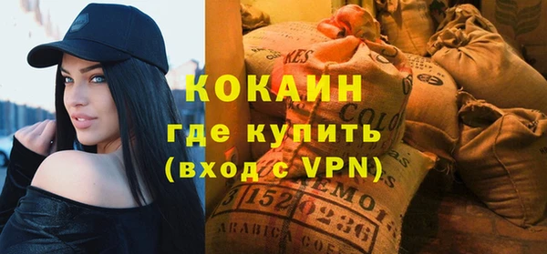 молекула духа Новозыбков