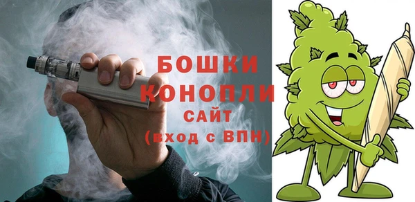 молекула духа Новозыбков